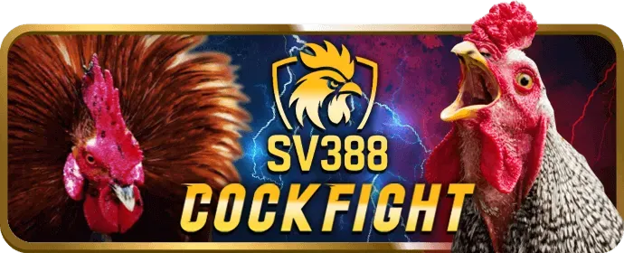 Trách nhiệm giải trình về bảo vệ dữ liệu của z8bet casino