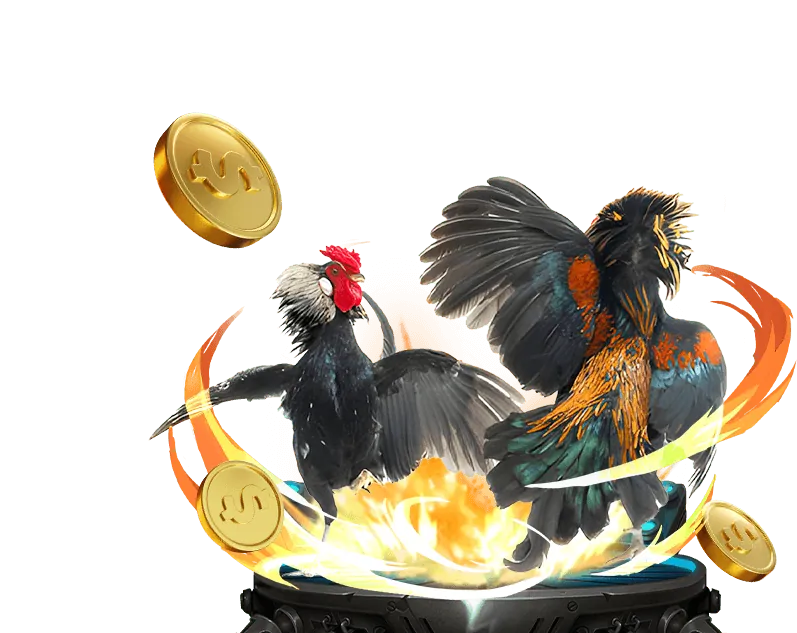 Chiến thuật đá gà hiệu quả từ z8bet casino